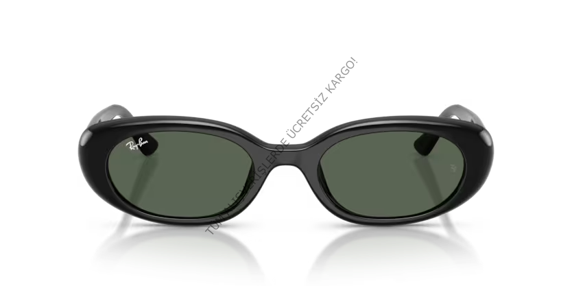 Rayban 0RB4441D 667771 53 Unisex Günes Gözlük