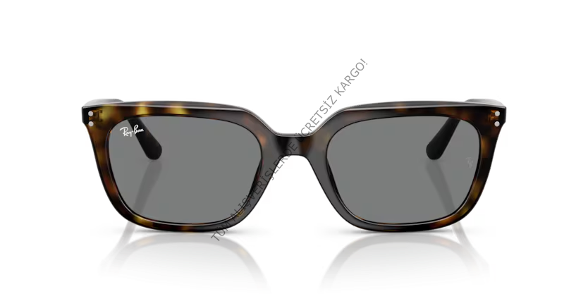 Rayban 0RB4439D 710/87 54 Unisex Günes Gözlük
