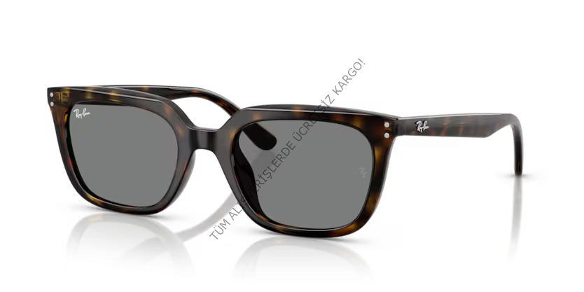 Rayban 0RB4439D 710/87 54 Unisex Günes Gözlük