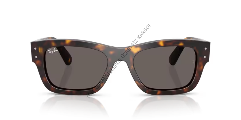 Rayban 0RB7683S 902/B1 55 Unisex Günes Gözlük