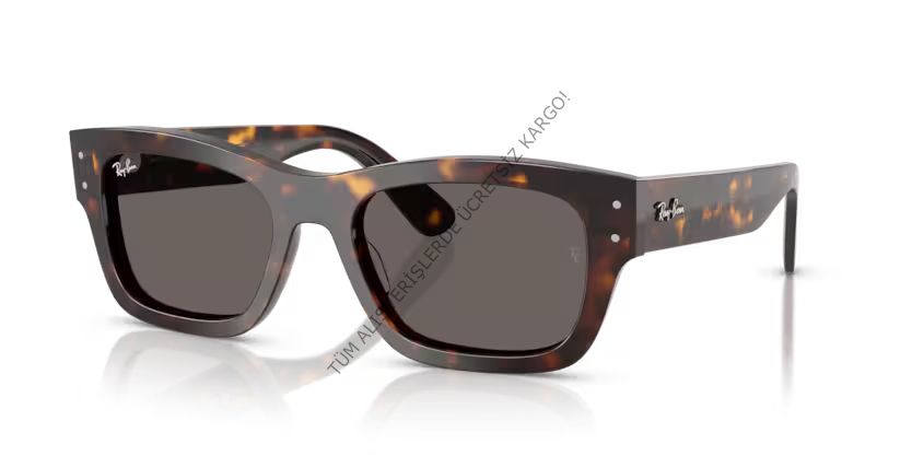 Rayban 0RB7683S 902/B1 55 Unisex Günes Gözlük
