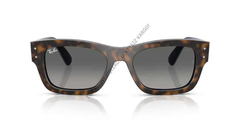 Rayban 0RB7683S 140171 55 Unisex Günes Gözlük