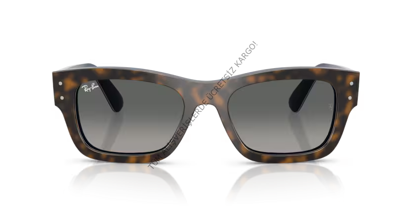 Rayban 0RB7683S 140171 55 Unisex Günes Gözlük