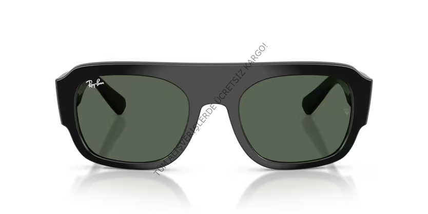 Rayban 0RB2218 667771 55 Unisex Günes Gözlük