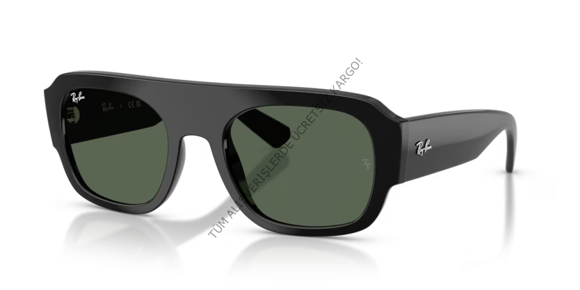 Rayban 0RB2218 667771 55 Unisex Günes Gözlük