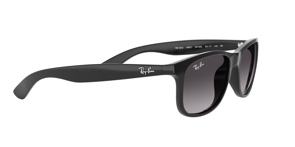 Rayban 0RB4202 601/8G 55 Erkek Güneş Gözlüğü