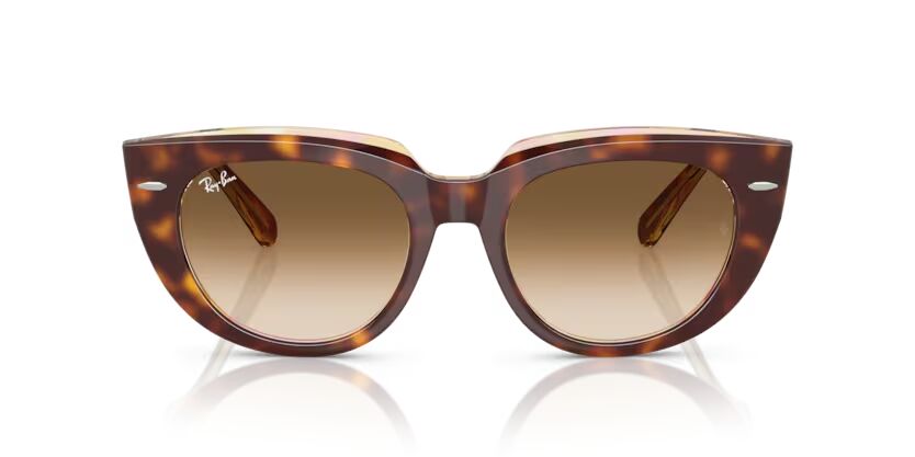 Rayban 0RB2286 141451 49 Kadin Günes Gözlügü