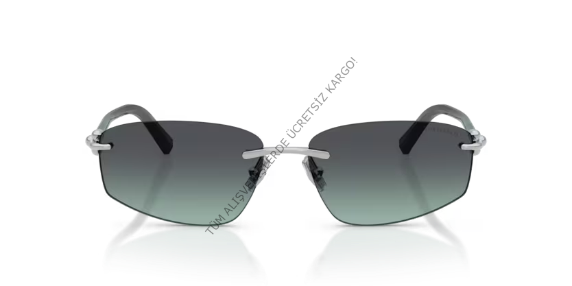 Tiffany&co. 3114 60012G 59 Unisex Günes Gözlük