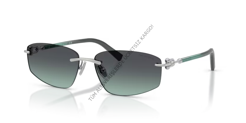 Tiffany&co. 3114 60012G 59 Unisex Günes Gözlük