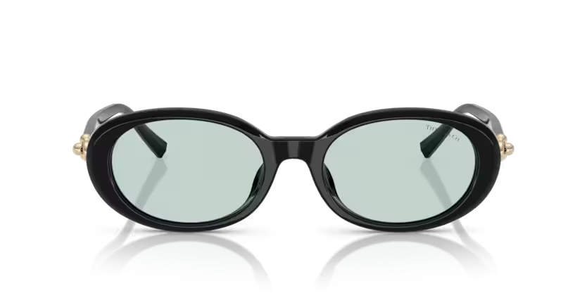 Tıffany&co. 4242D 8001D9 54 Unisex Güneş Gözlük