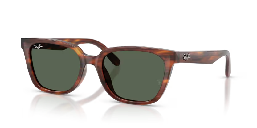 Rayban 2243D 954/71 55 Unisex Güneş Gözlük