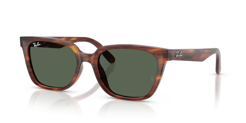 Rayban 2243D 954/71 55 Unisex Güneş Gözlük