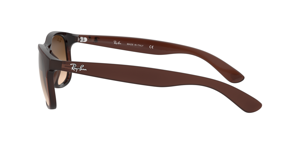 Rayban 0RB4202 607313 55 Erkek Güneş Gözlüğü