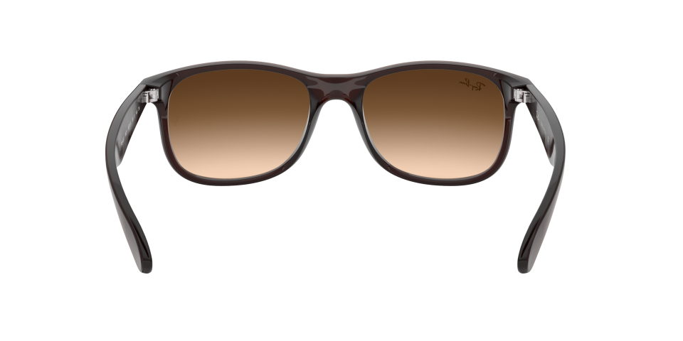 Rayban 0RB4202 607313 55 Erkek Güneş Gözlüğü