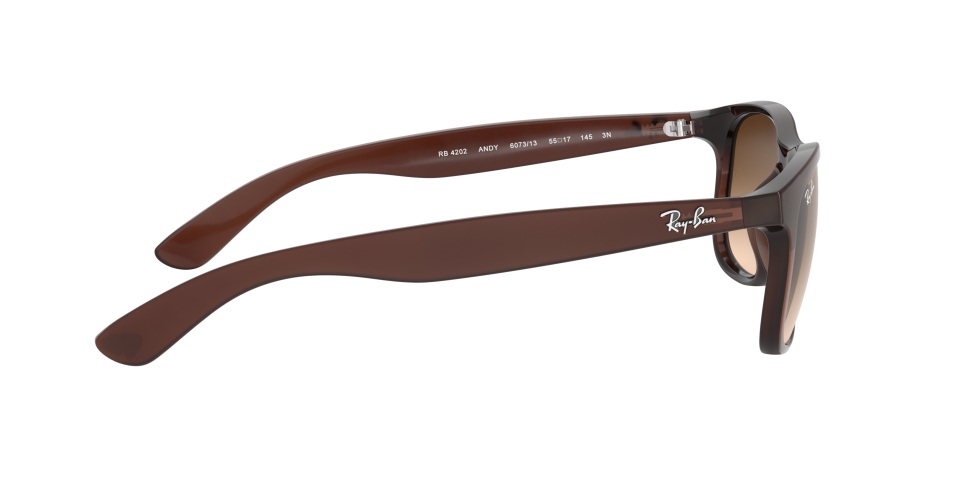 Rayban 0RB4202 607313 55 Erkek Güneş Gözlüğü