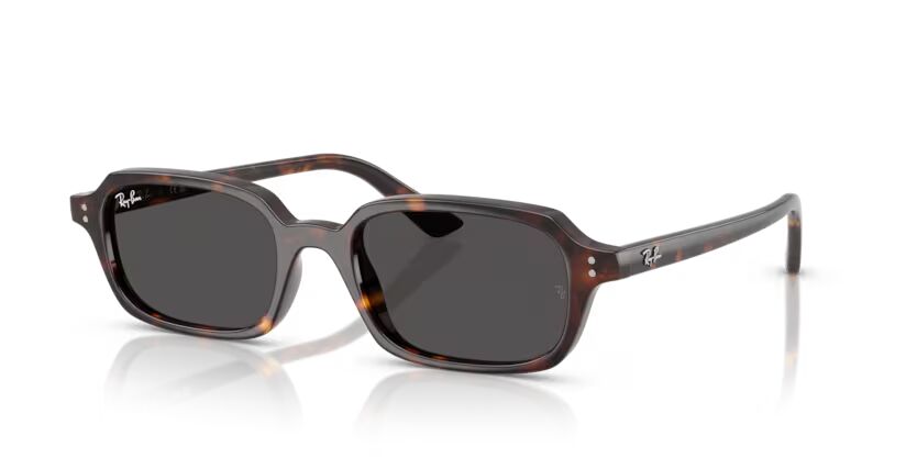 Rayban 4455 135987 49 Unisex Günes Gözlük