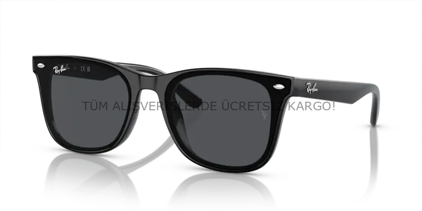 Rayban 0RB4420 601/87 65 Unisex Günes Gözlük