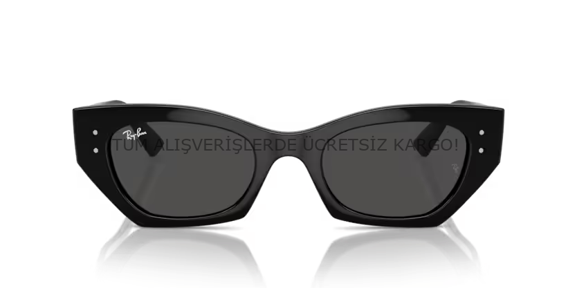 Rayban 0RB4430 667787 49 Unisex Günes Gözlük