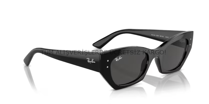 Rayban 0RB4430 667787 49 Unisex Günes Gözlük