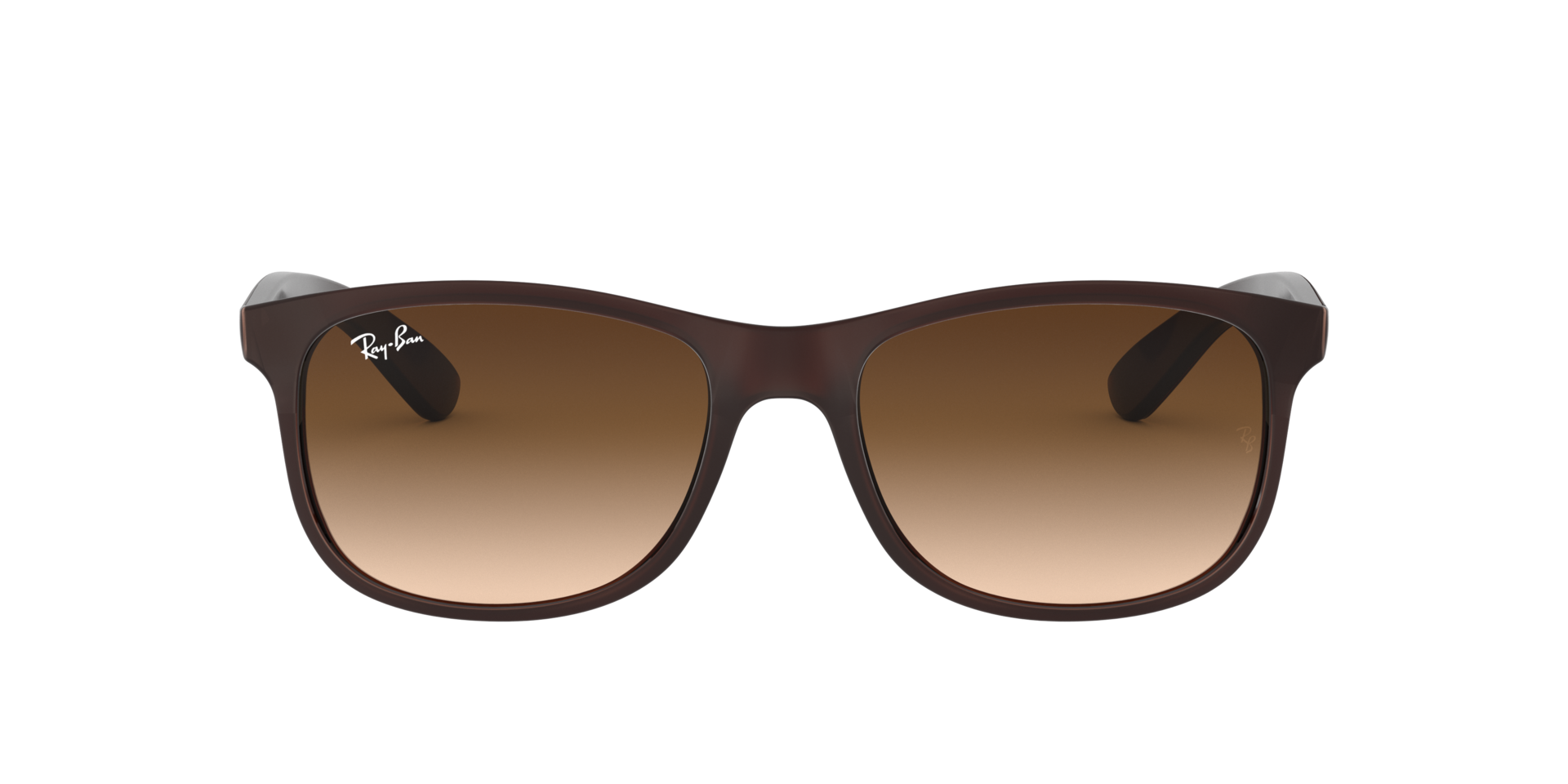 Rayban 0RB4202 607313 55 Erkek Güneş Gözlüğü