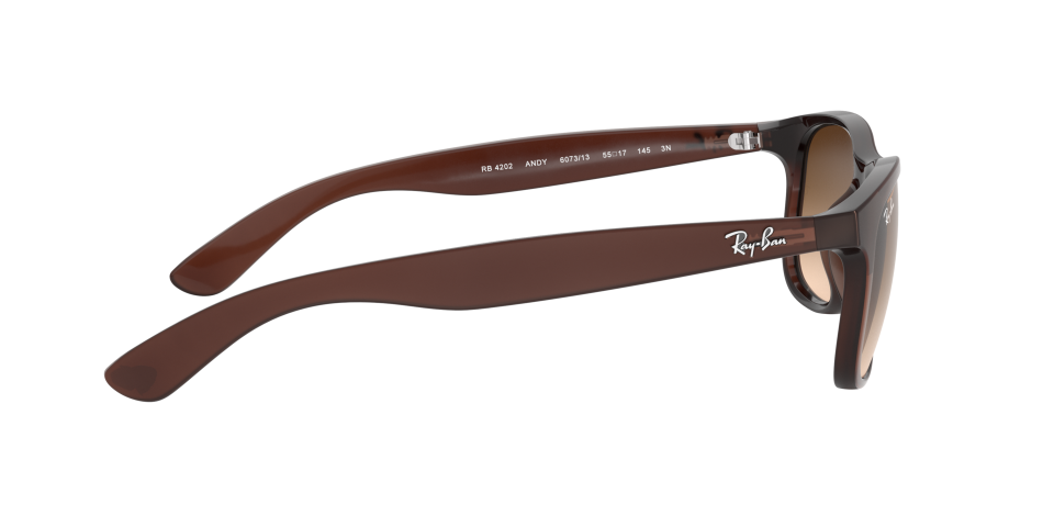 Rayban 0RB4202 607313 55 Erkek Güneş Gözlüğü