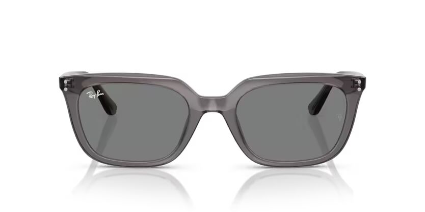 Rayban 4439 667587 54-145 Unisex Günes Gözlük