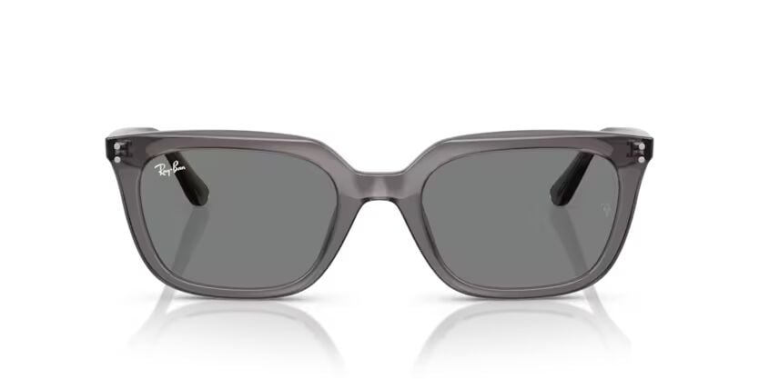 Rayban 4439 667587 54-145 Unisex Günes Gözlük