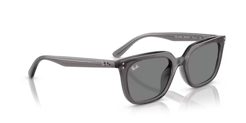 Rayban 4439 667587 54-145 Unisex Günes Gözlük