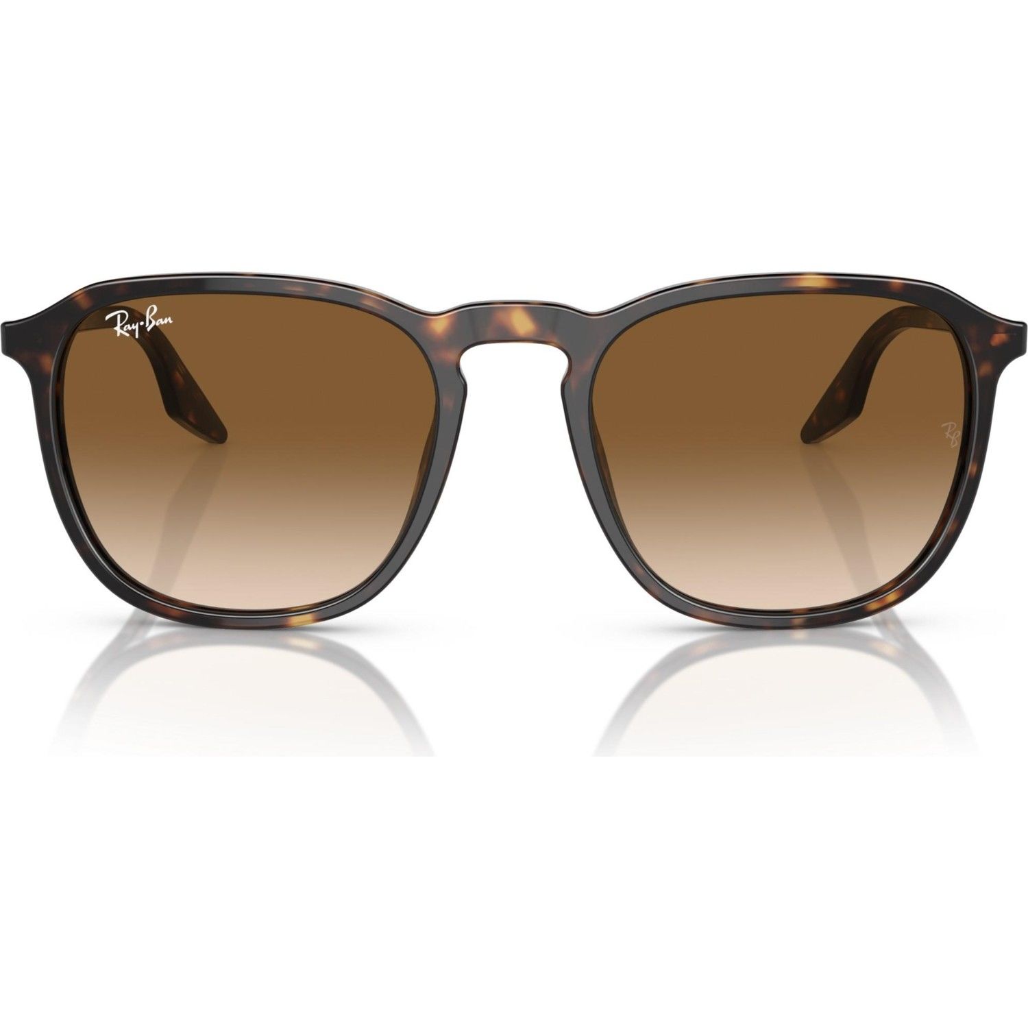 Rayban 0RB2203 902/51 52 Unisex Günes Gözlük