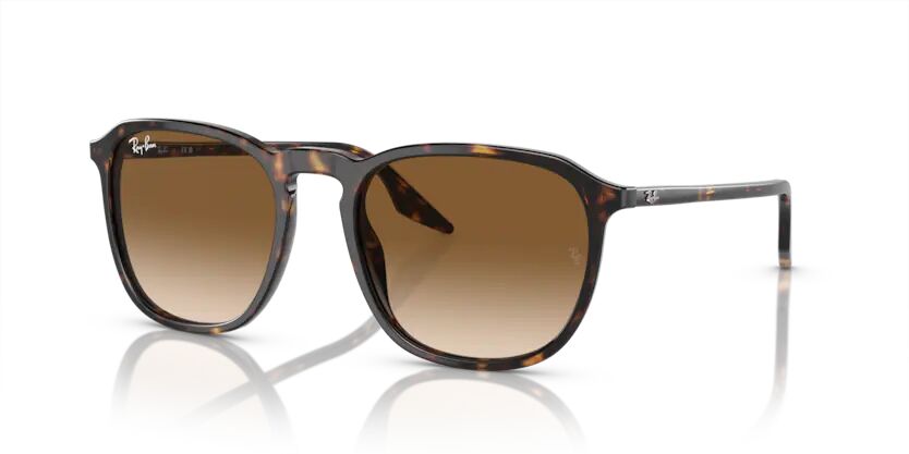 Rayban 0RB2203 902/51 52 Unisex Günes Gözlük