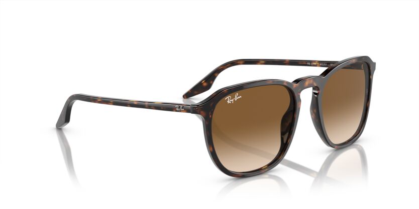 Rayban 0RB2203 902/51 52 Unisex Günes Gözlük