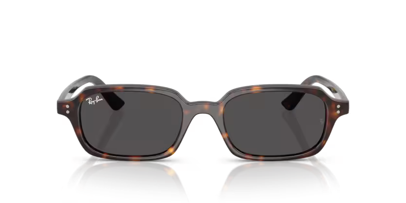 Rayban 4455 135987 49 Unisex Günes Gözlük