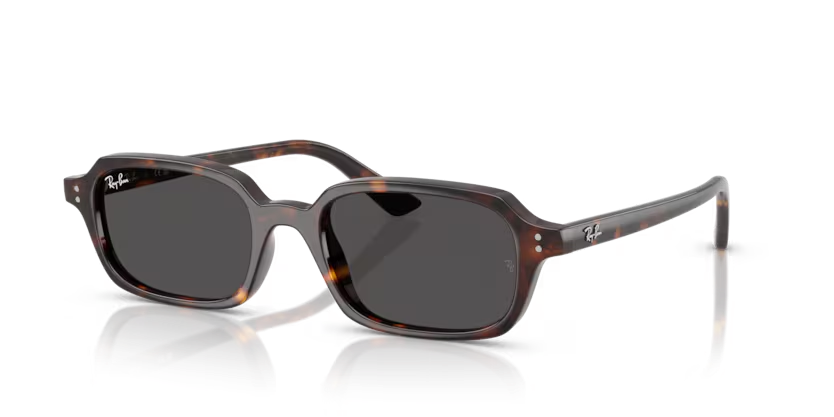 Rayban 4455 135987 49 Unisex Günes Gözlük