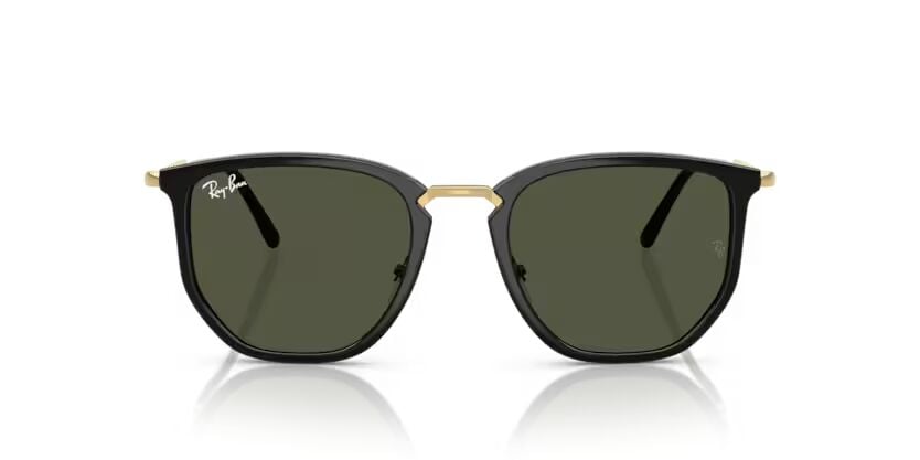 Rayban 4451 630631 50 Unisex Günes Gözlük