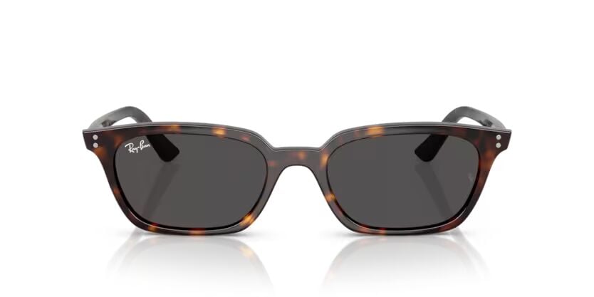 Rayban 4456 135987 53 Kadin Günes Gözlügü