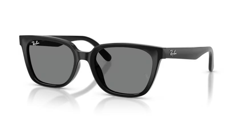 Rayban 2243D 901/87 55 Unisex Güneş Gözlük
