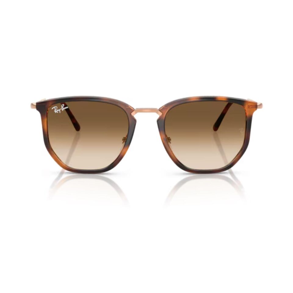 Rayban 4451 680451 50 Unisex Günes Gözlük