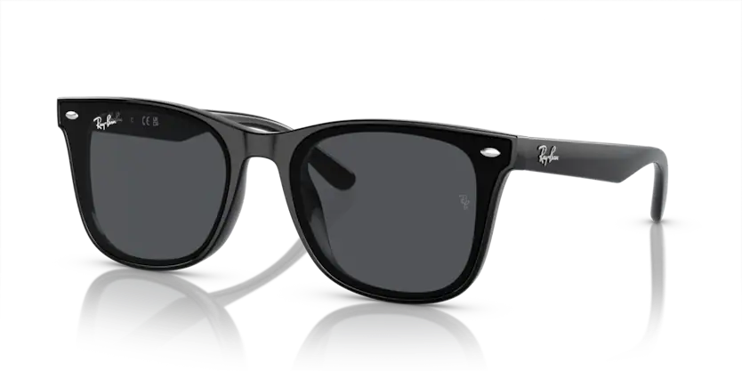 Rayban 4420 601/87 65 Unisex Güneş Gözlük
