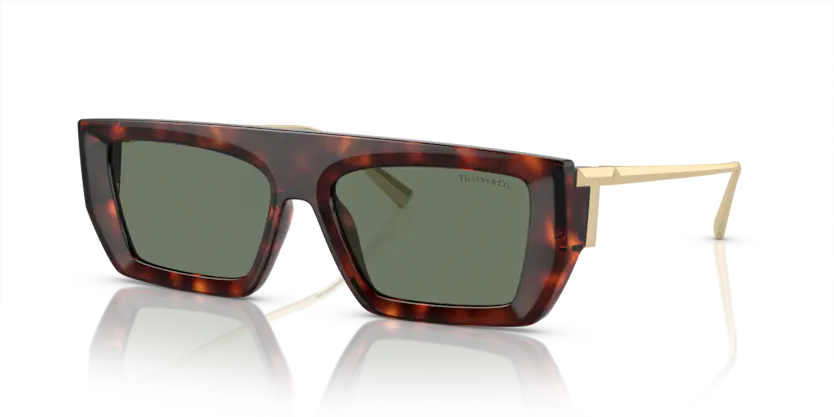 Tıffany&co. 4214U 80023H 54 Kadın Güneş Gözlüğü