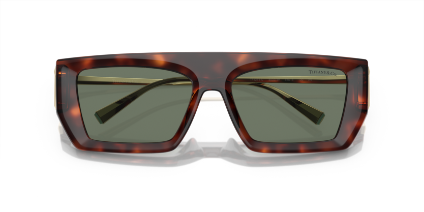 Tıffany&co. 4214U 80023H 54 Kadın Güneş Gözlüğü
