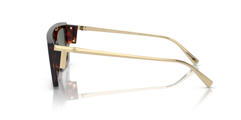 Tıffany&co. 4214U 80023H 54 Kadın Güneş Gözlüğü