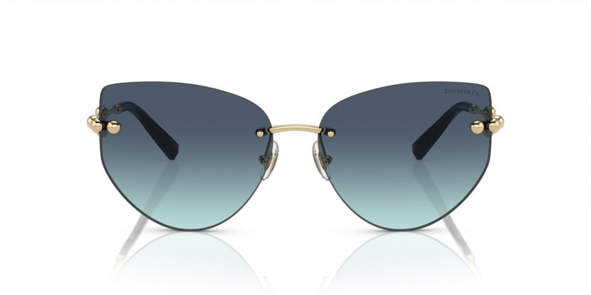 Tıffany&co. 3096 62029S 60 Kadın Güneş Gözlüğü