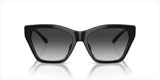 Emporıo Armanı 0EA4203U 50178G 55 Kadın Güneş Gözlüğü