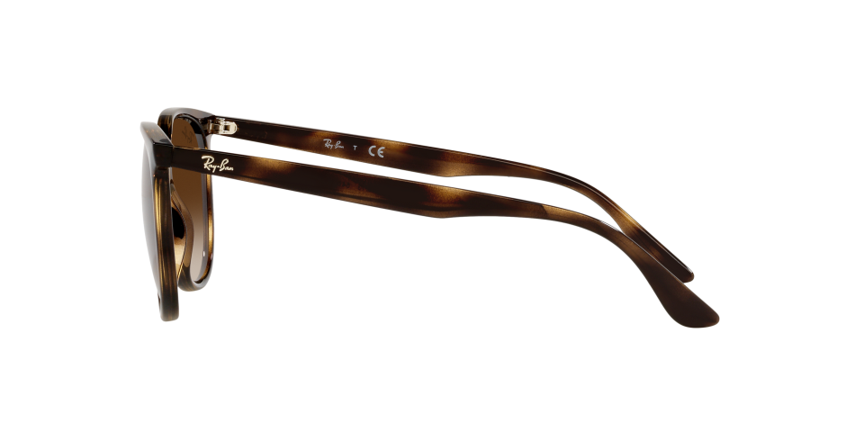 Rayban 0RB4378 710/13 54 Unisex Güneş Gözlük