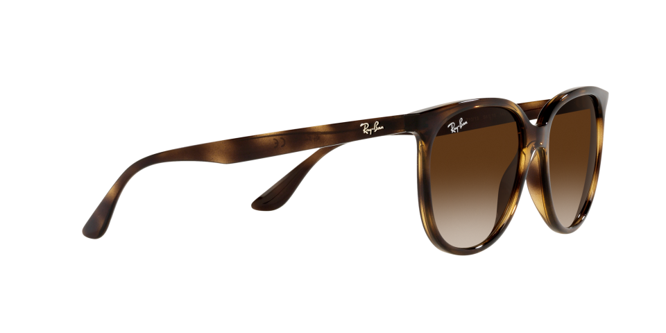 Rayban 0RB4378 710/13 54 Unisex Güneş Gözlük