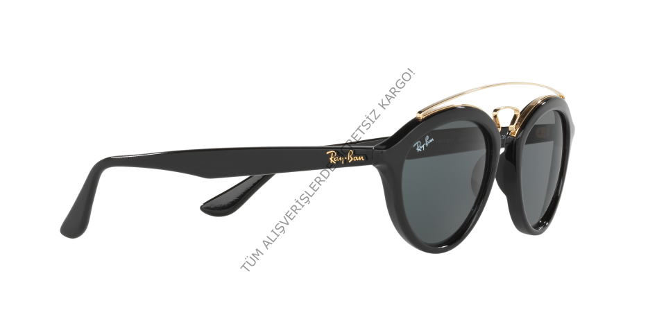 Rayban 0RB4257 601/71 50 Erkek Günes Gözlügü