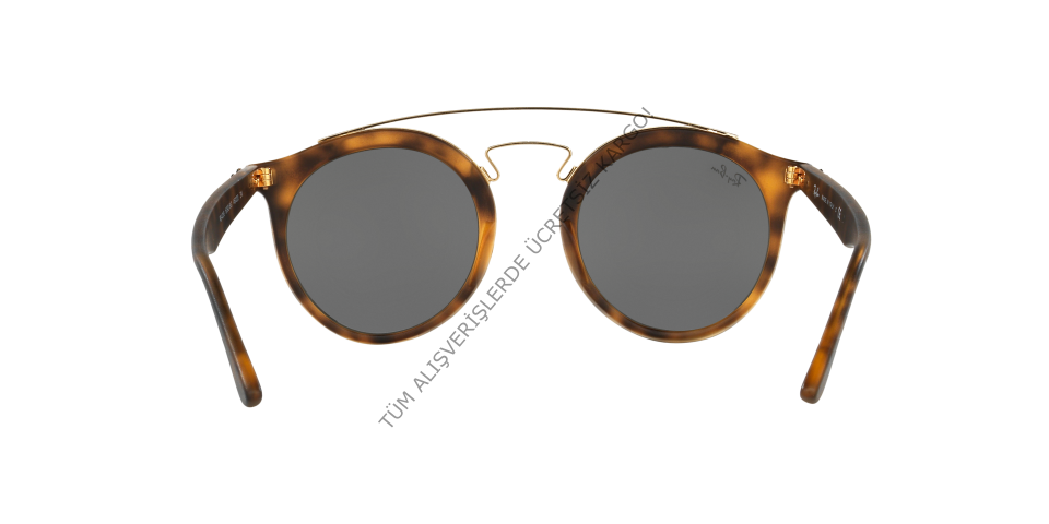 Rayban 0RB4256 60926G 46 Kadin Günes Gözlügü