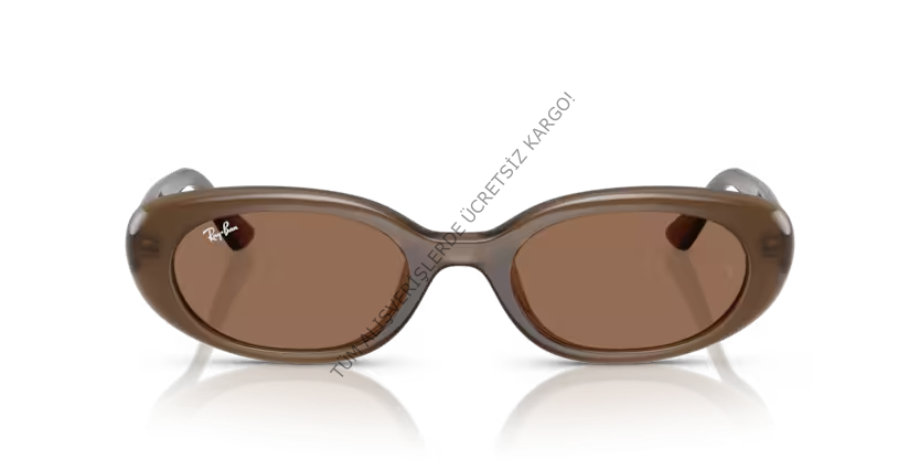 Rayban 0RB4441D 677973 53 Unisex Günes Gözlük