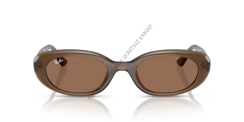 Rayban 0RB4441D 677973 53 Unisex Günes Gözlük