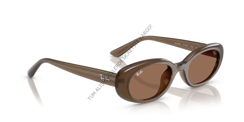Rayban 0RB4441D 677973 53 Unisex Günes Gözlük